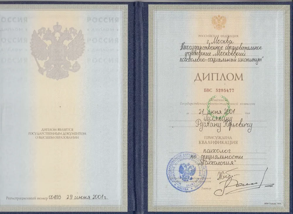 Гулякин Р.Ю. диплом